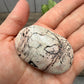 Picture Jasper Palm Stones