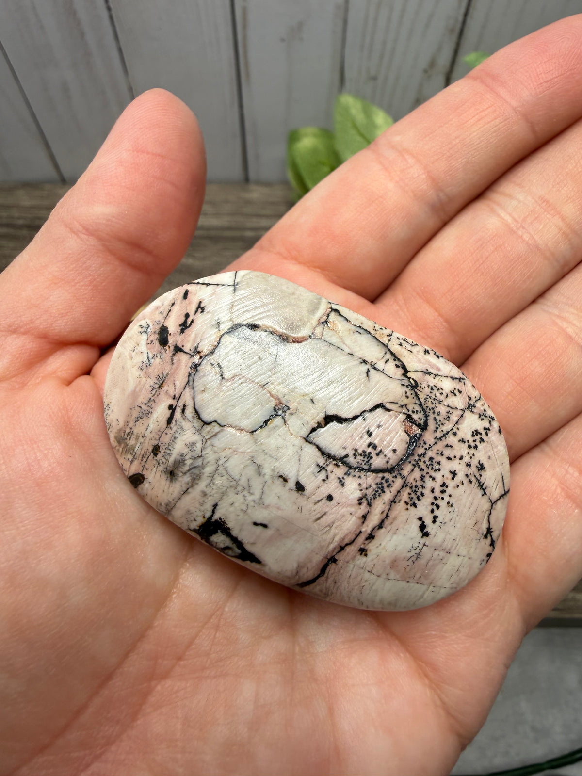 Picture Jasper Palm Stones