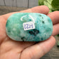 Phoenix Stone Palm Stones