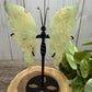 Large Butterfly Wings on Stand - Prenite
