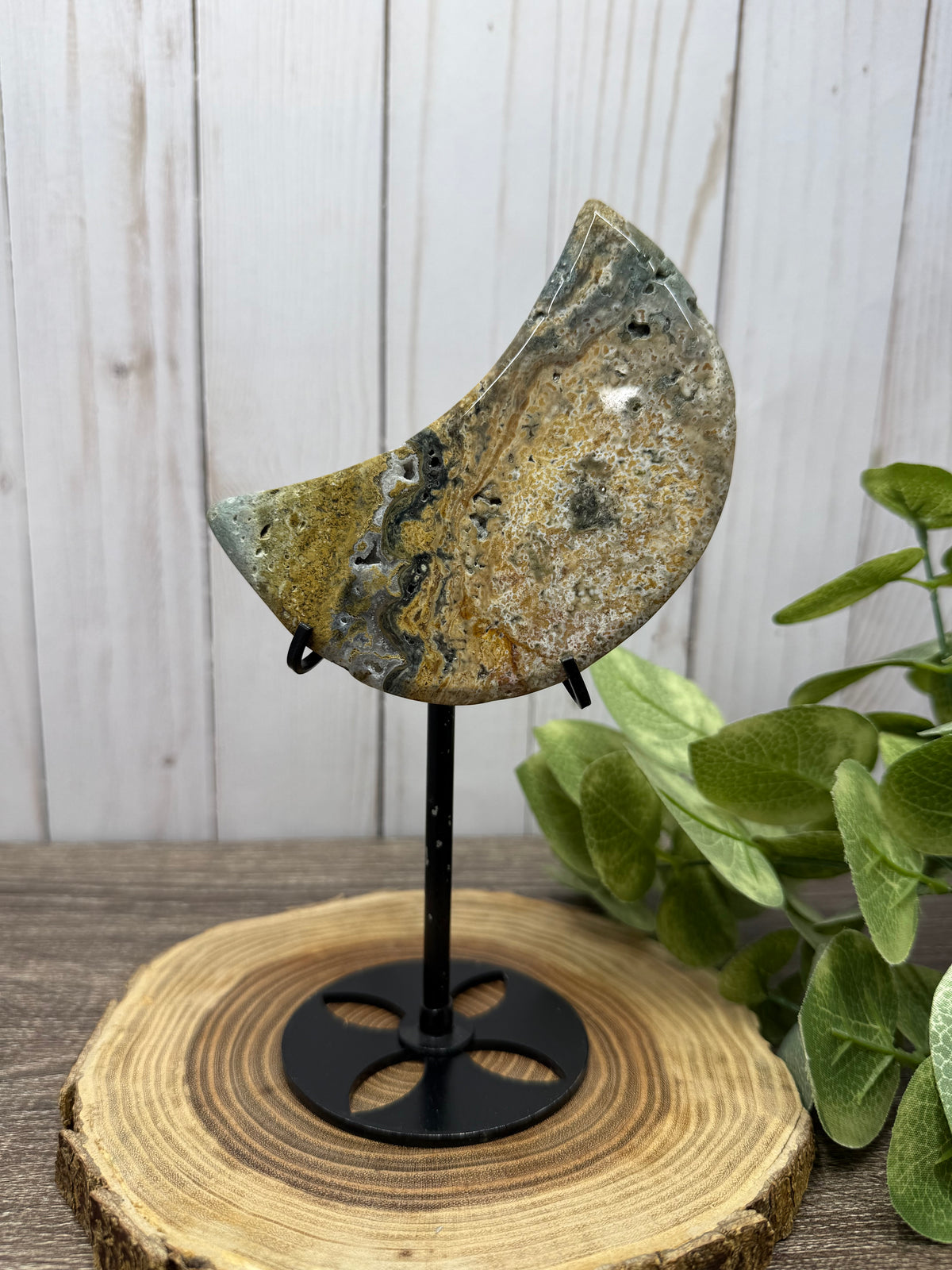 Ocean Jasper Moons on Stands
