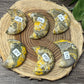 Bumblebee Jasper Moons