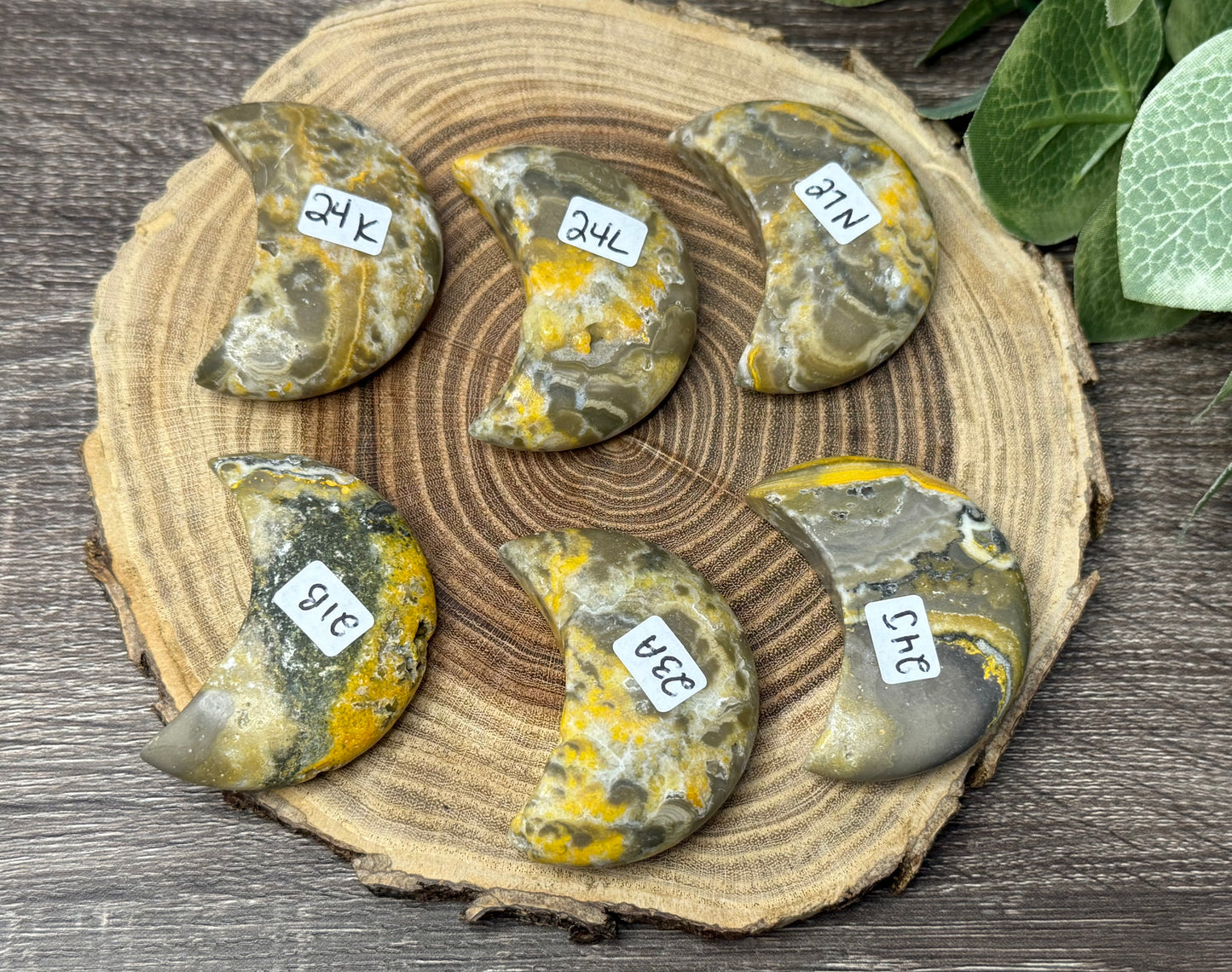 Bumblebee Jasper Moons