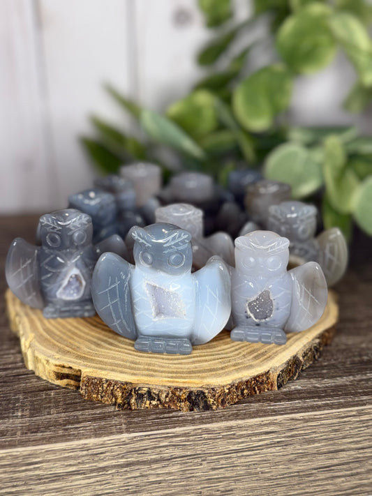 Druzy Agate Owl Carvings