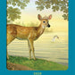 Animal Guides Tarot - 78 cards and guidebook