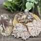 Flower Agate Octapus