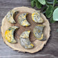 Bumblebee Jasper Moons