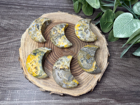Bumblebee Jasper Moons