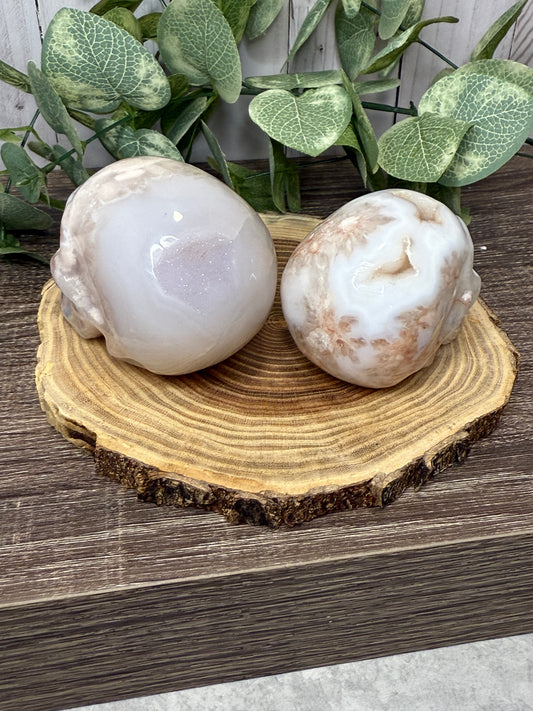Flower Agate Skulls