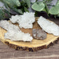 Chrysanthemum Quartz - Cluster