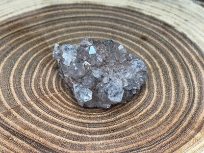 Chrysanthemum Quartz - Cluster