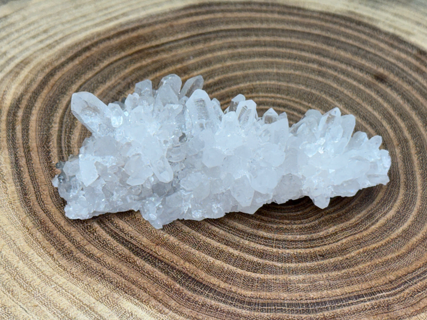Chrysanthemum Quartz - Cluster