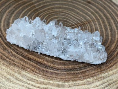 Chrysanthemum Quartz - Cluster