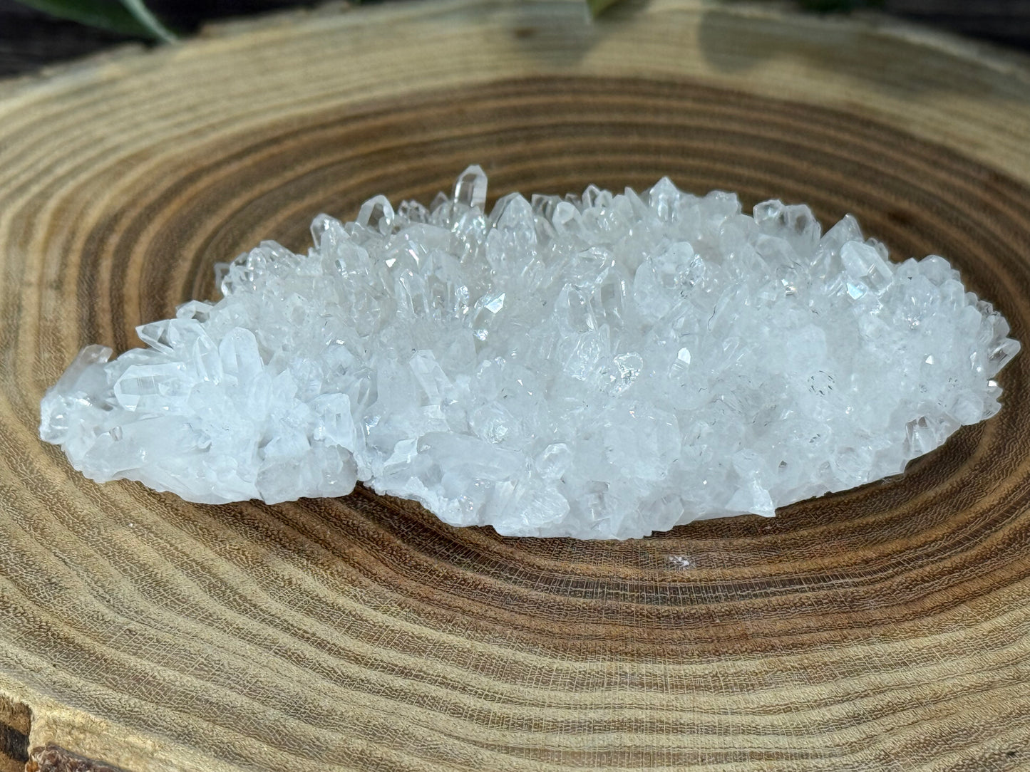 Chrysanthemum Quartz - Cluster