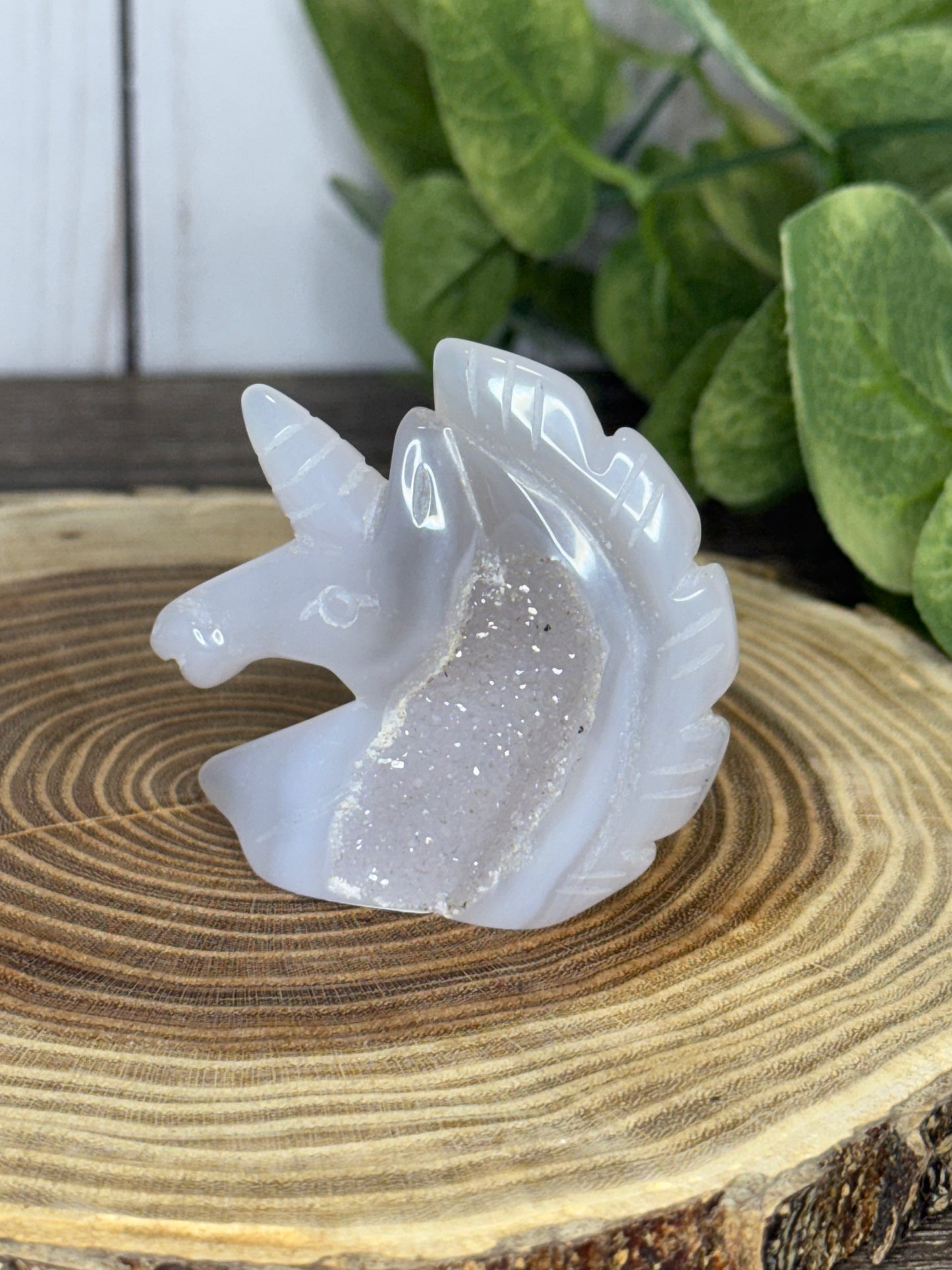 Unicorn Heads - Druzy Agate