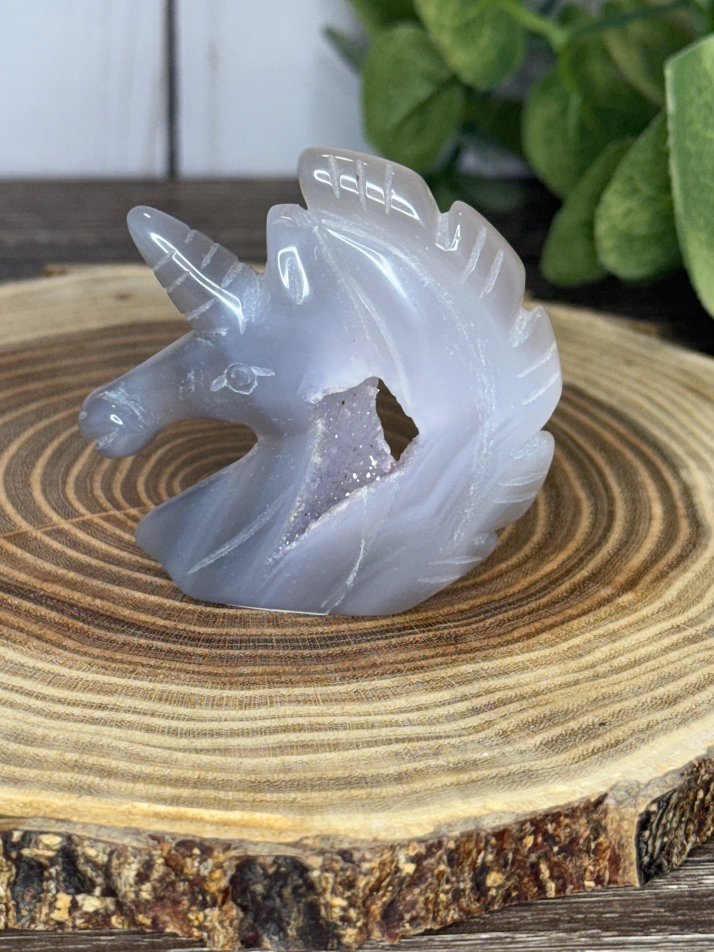 Unicorn Heads - Druzy Agate