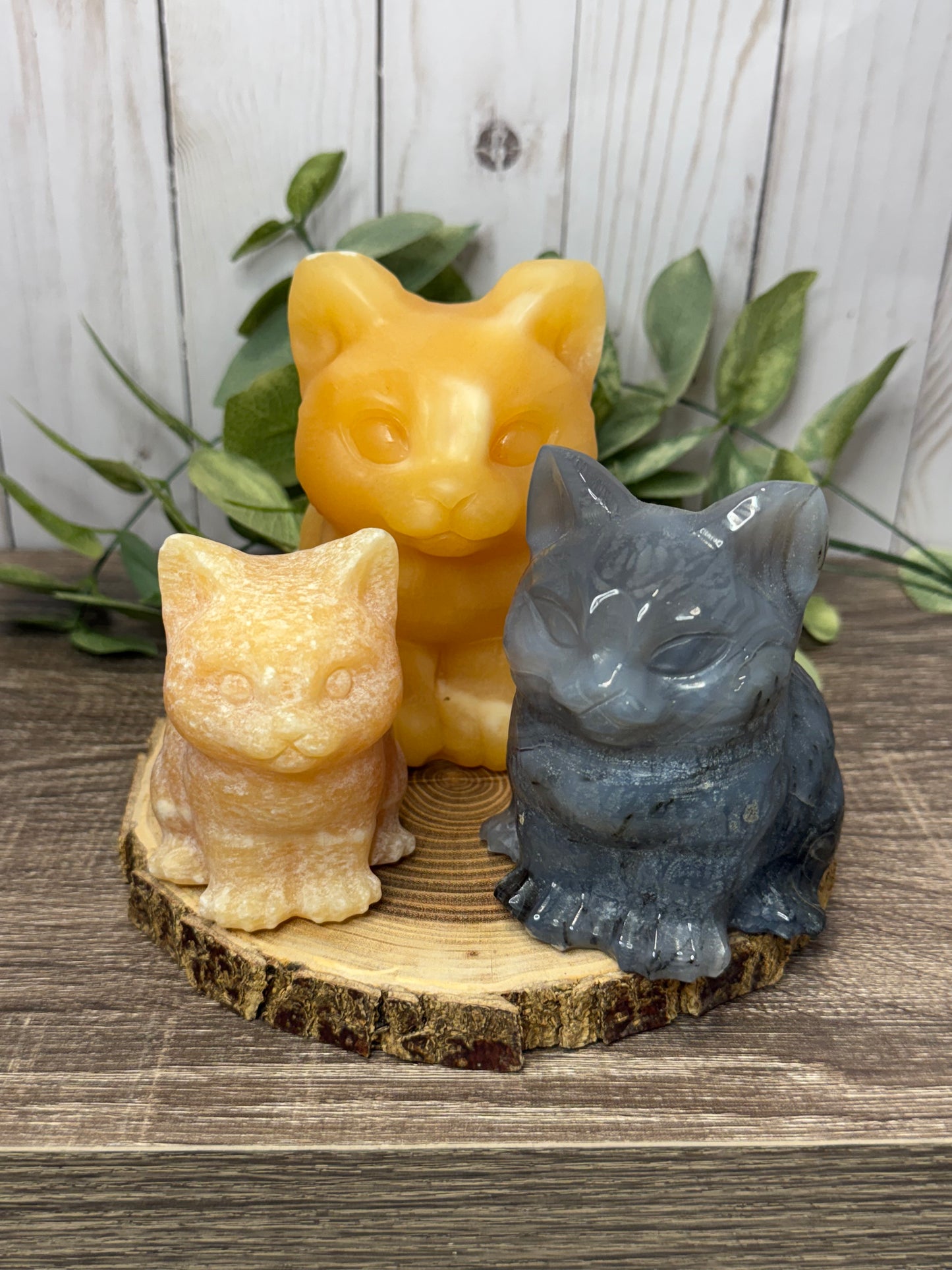 Cat Carvings -Large