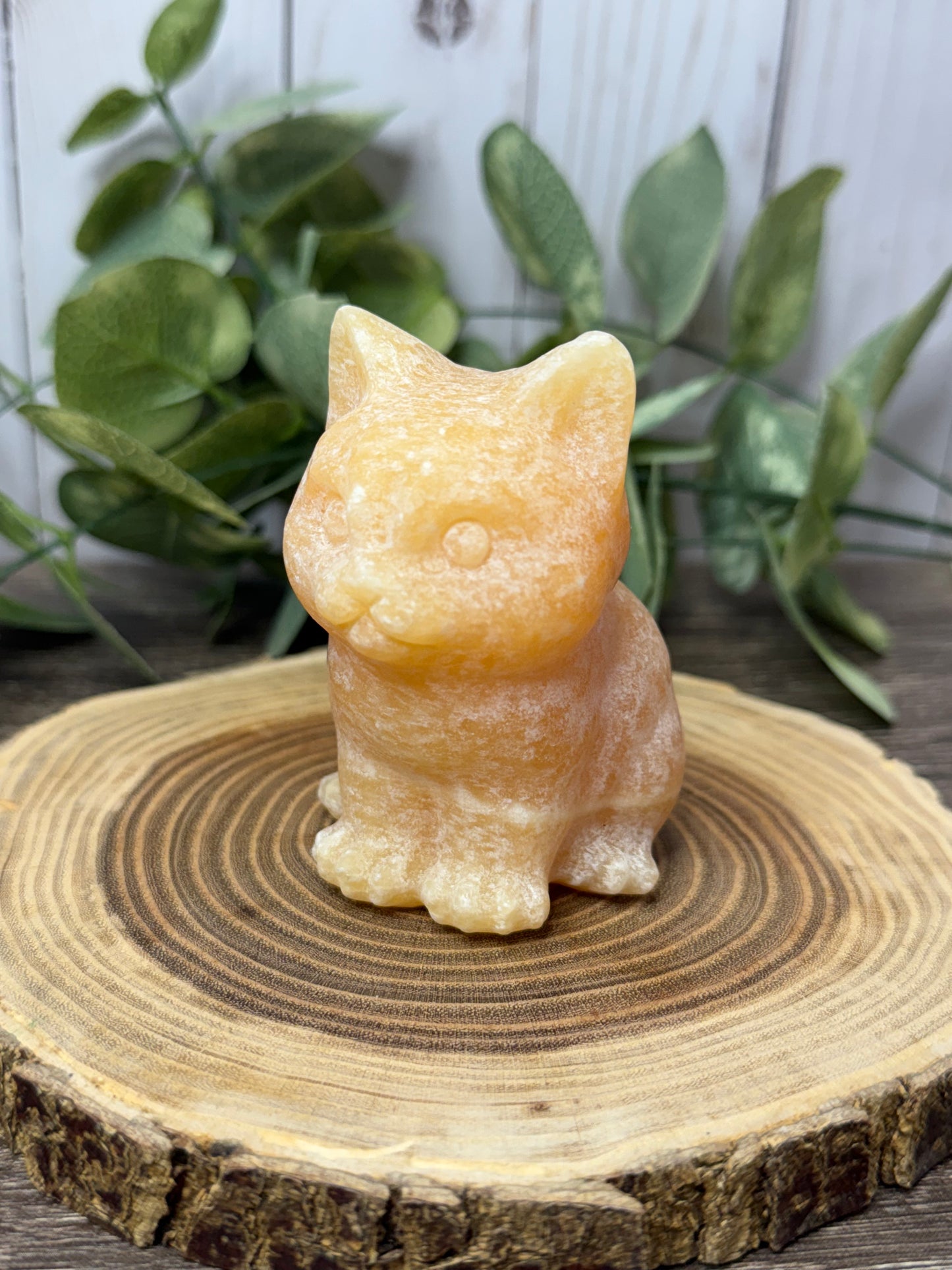 Cat Carvings -Large