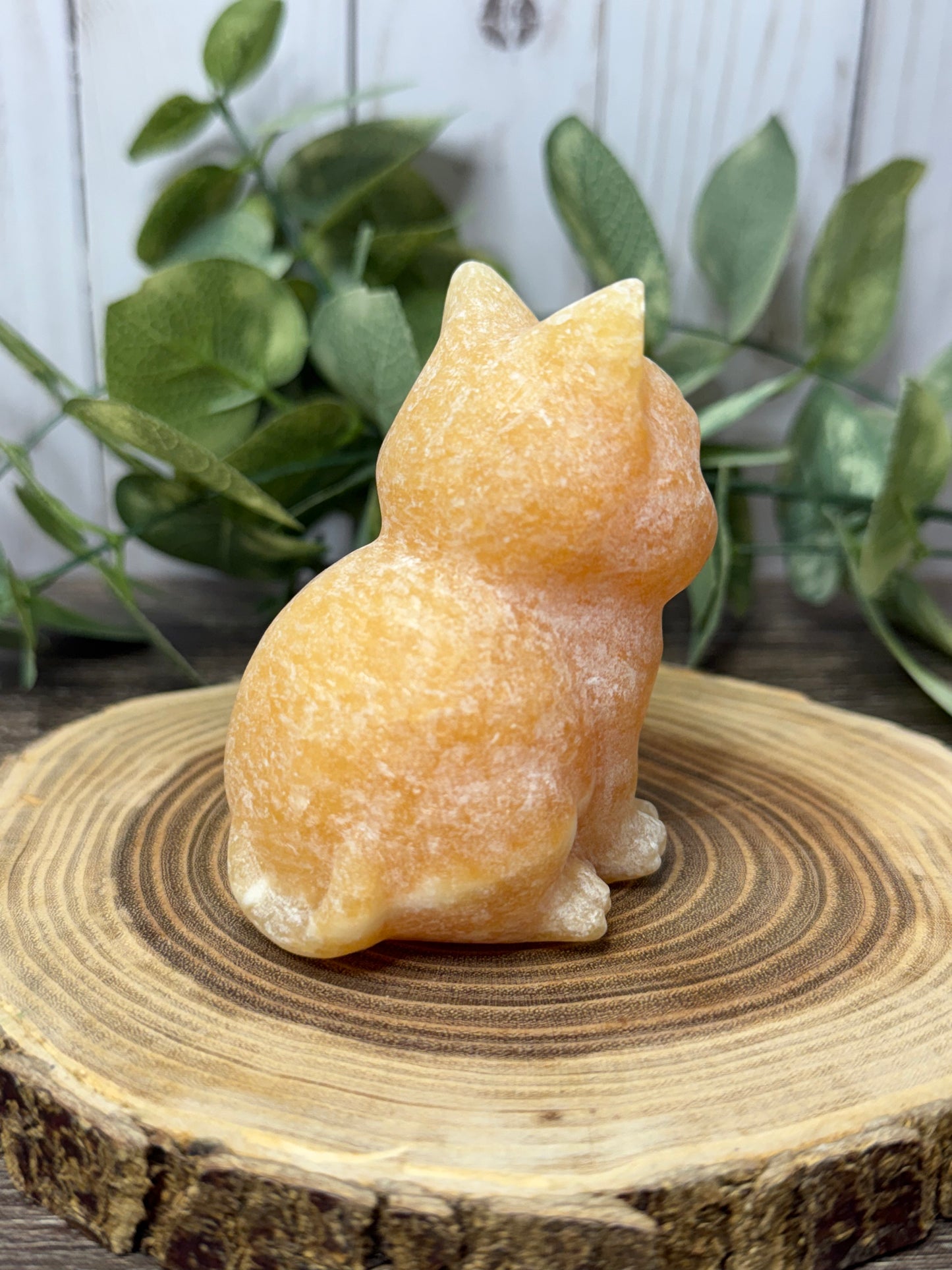 Cat Carvings -Large
