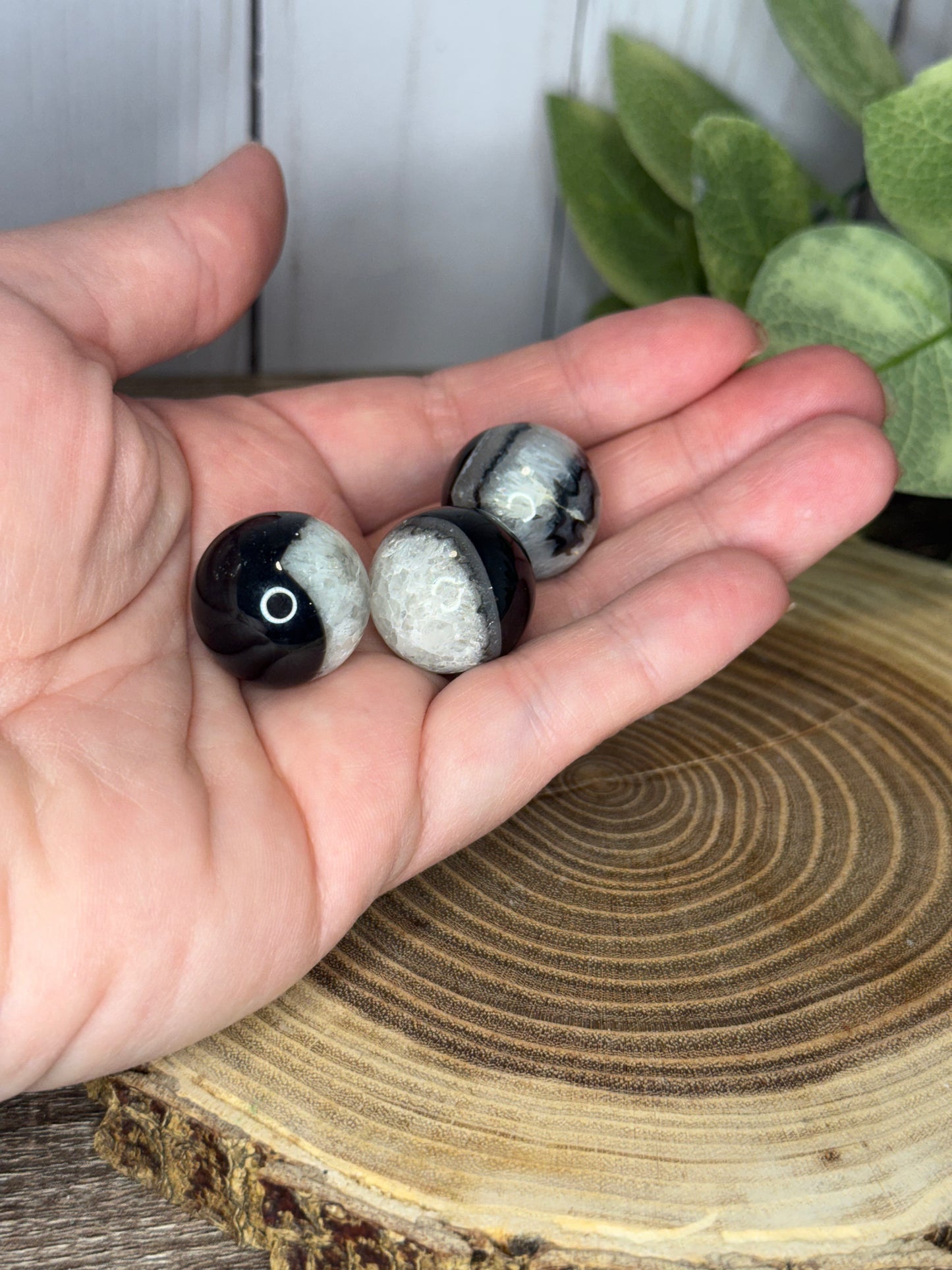 Black Agate Mini Spheres