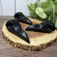 Obsidian Bird Skulls
