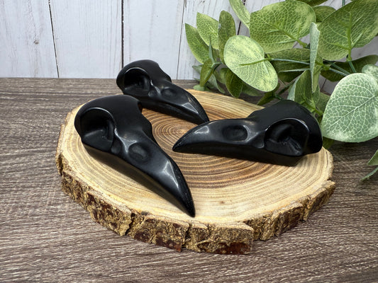 Obsidian Bird Skulls
