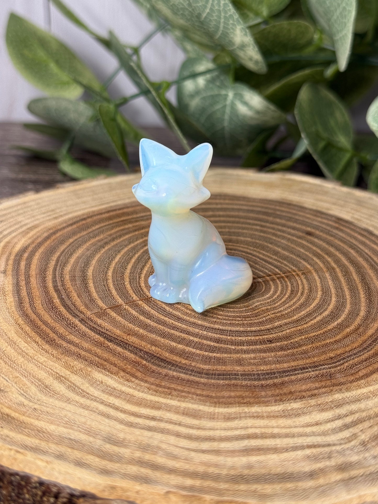Fox Carvings