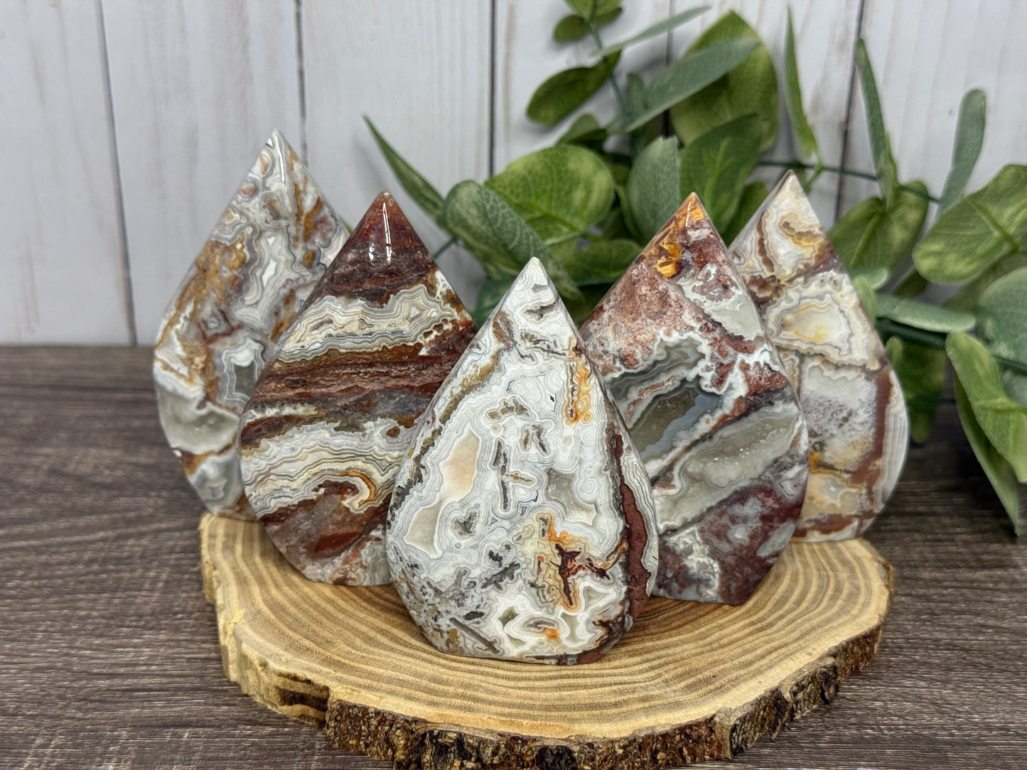 Lace Agate Freeforms