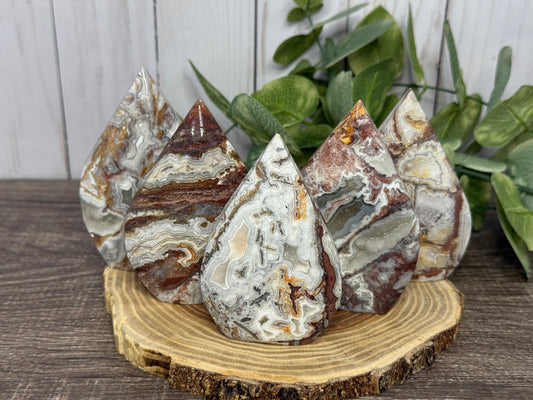 Lace Agate Freeforms