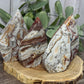 Lace Agate Freeforms