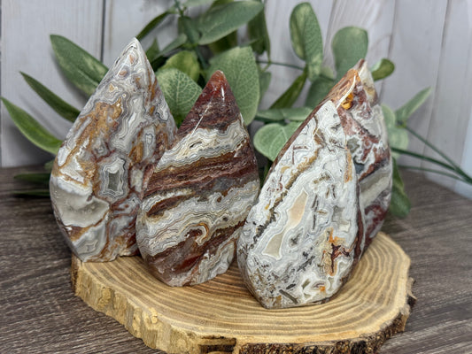 Lace Agate Freeforms