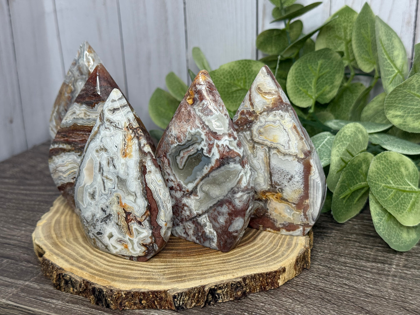 Lace Agate Freeforms
