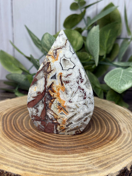 Lace Agate Freeforms