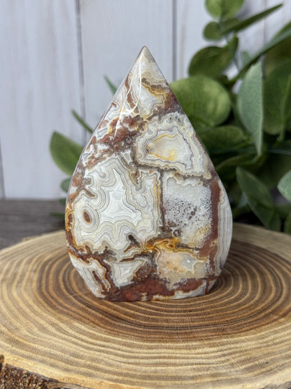 Lace Agate Freeforms