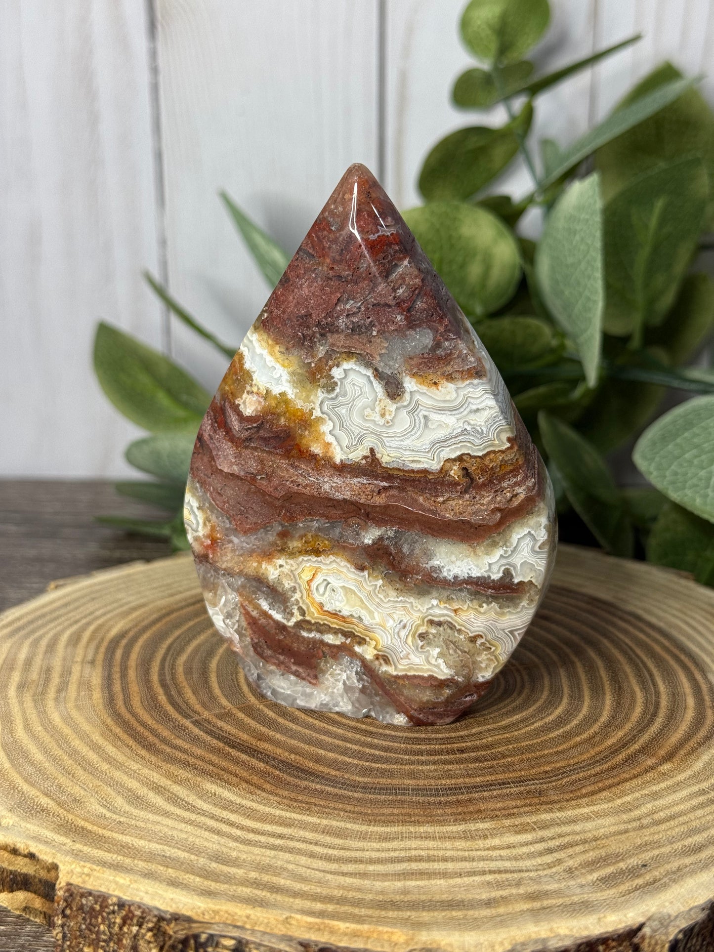 Lace Agate Freeforms
