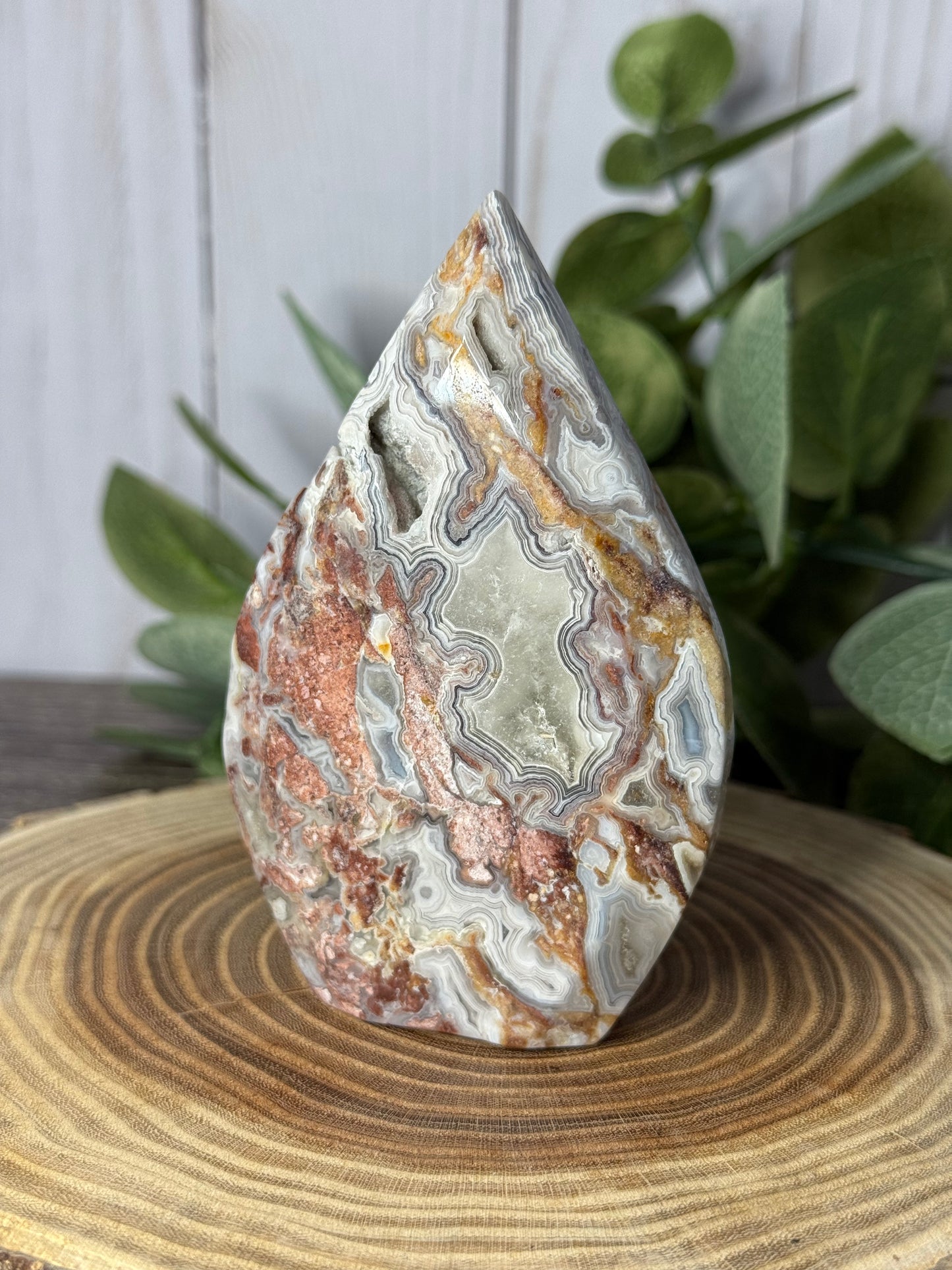 Lace Agate Freeforms