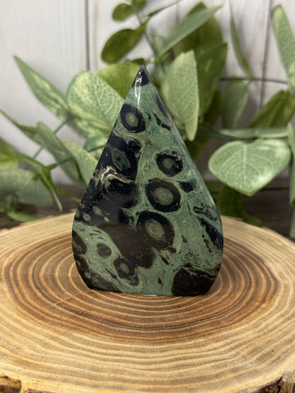 Kambaba Jasper Freeforms