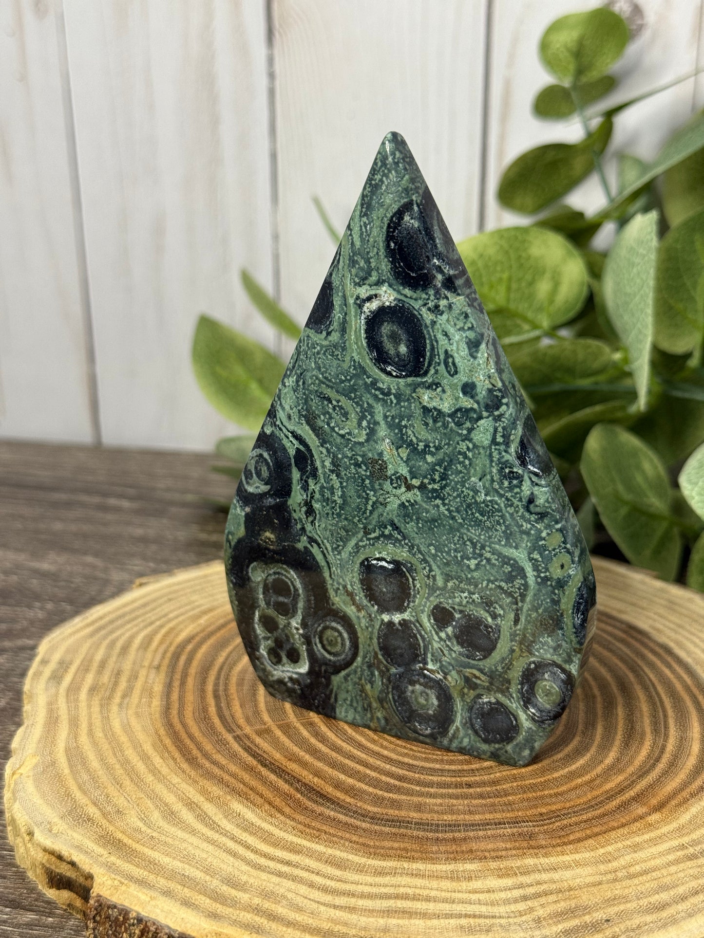 Kambaba Jasper Freeforms