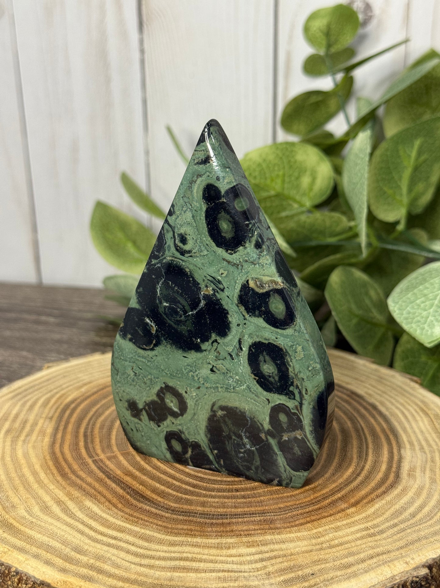 Kambaba Jasper Freeforms
