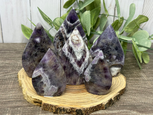 Dream Amethyst Freeforms