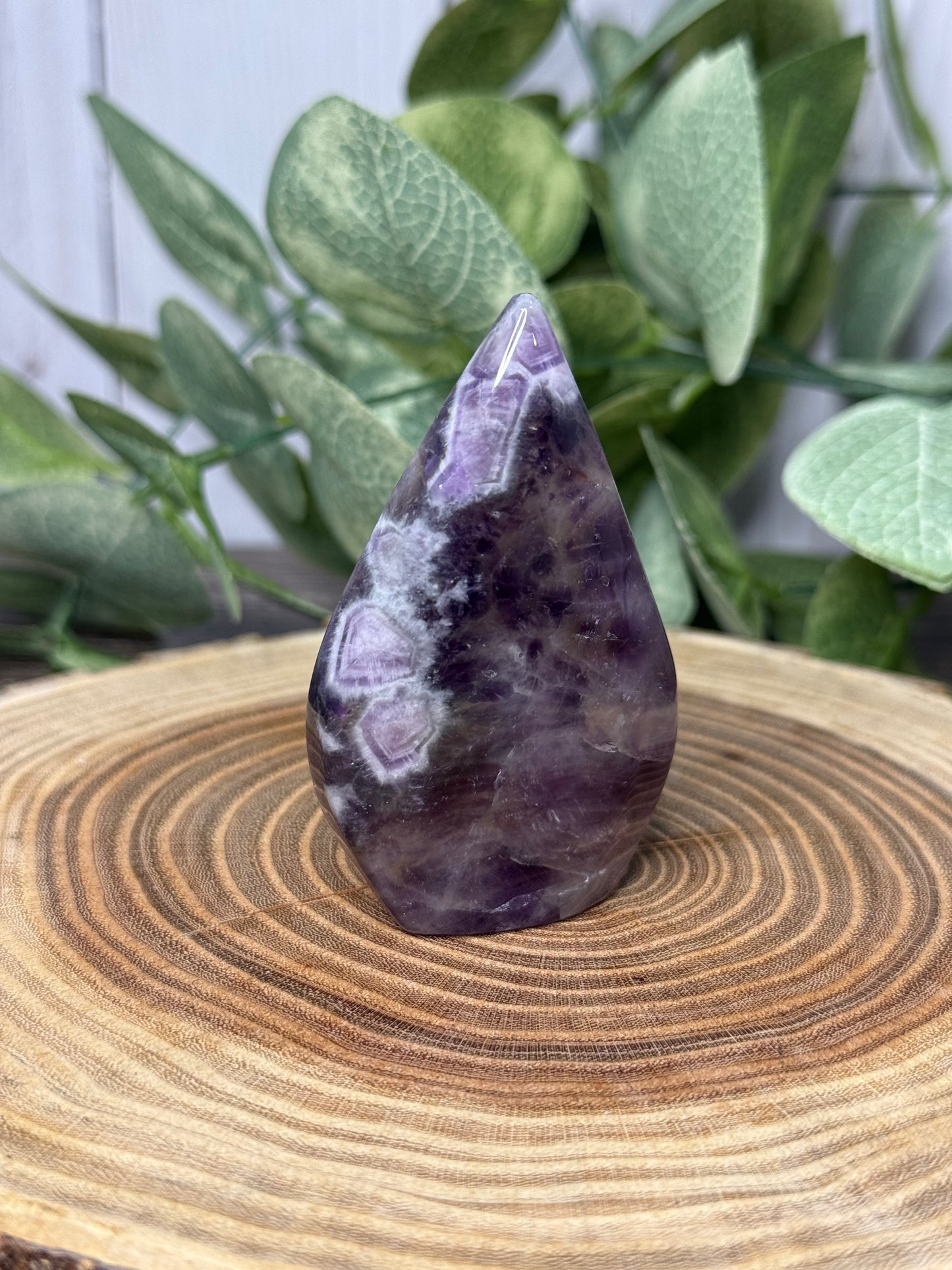 Dream Amethyst Freeforms