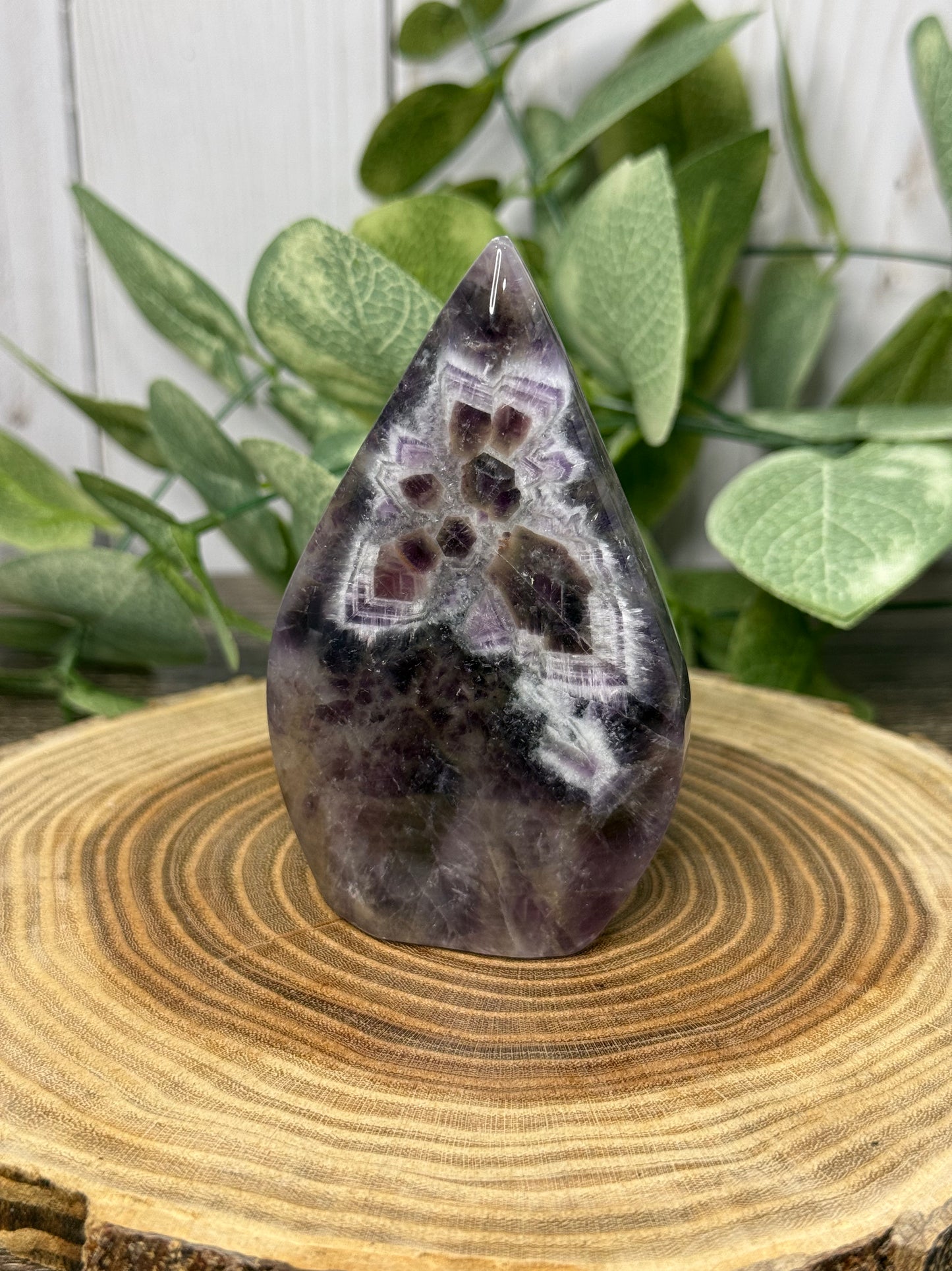 Dream Amethyst Freeforms