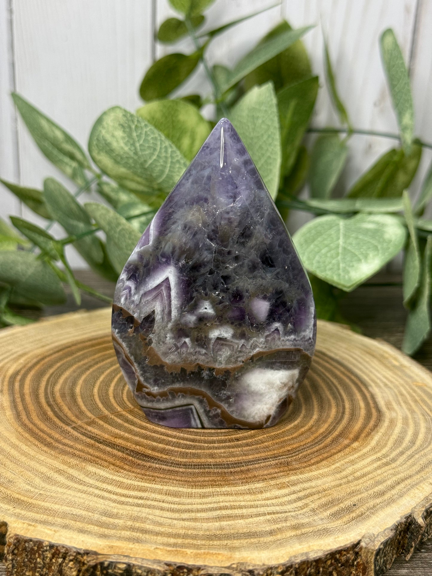 Dream Amethyst Freeforms