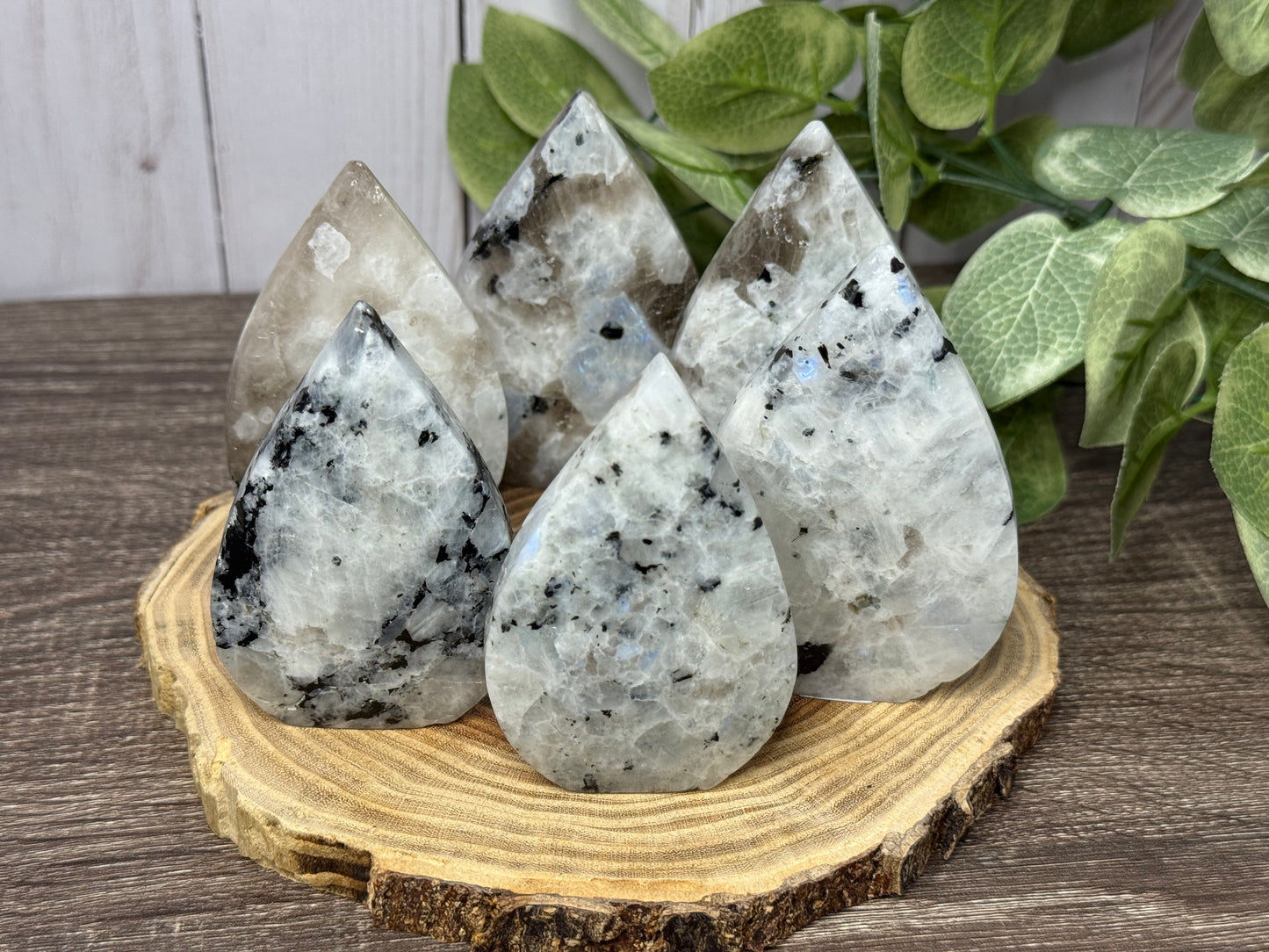 Rainbow Moonstone Freeforms