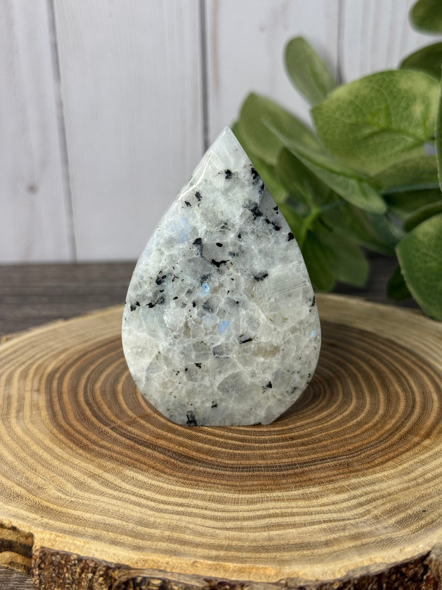 Rainbow Moonstone Freeforms