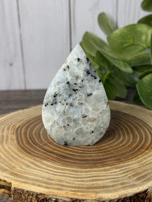 Rainbow Moonstone Freeforms