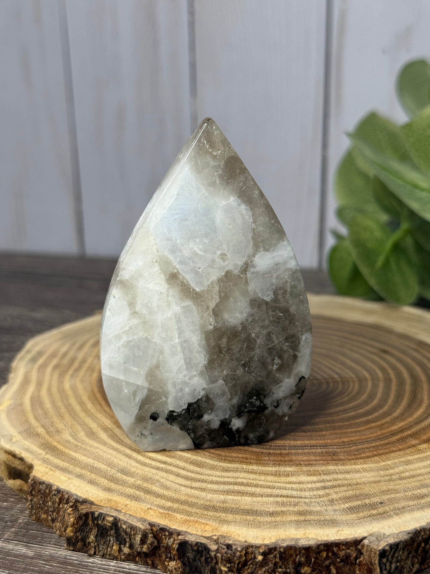 Rainbow Moonstone Freeforms