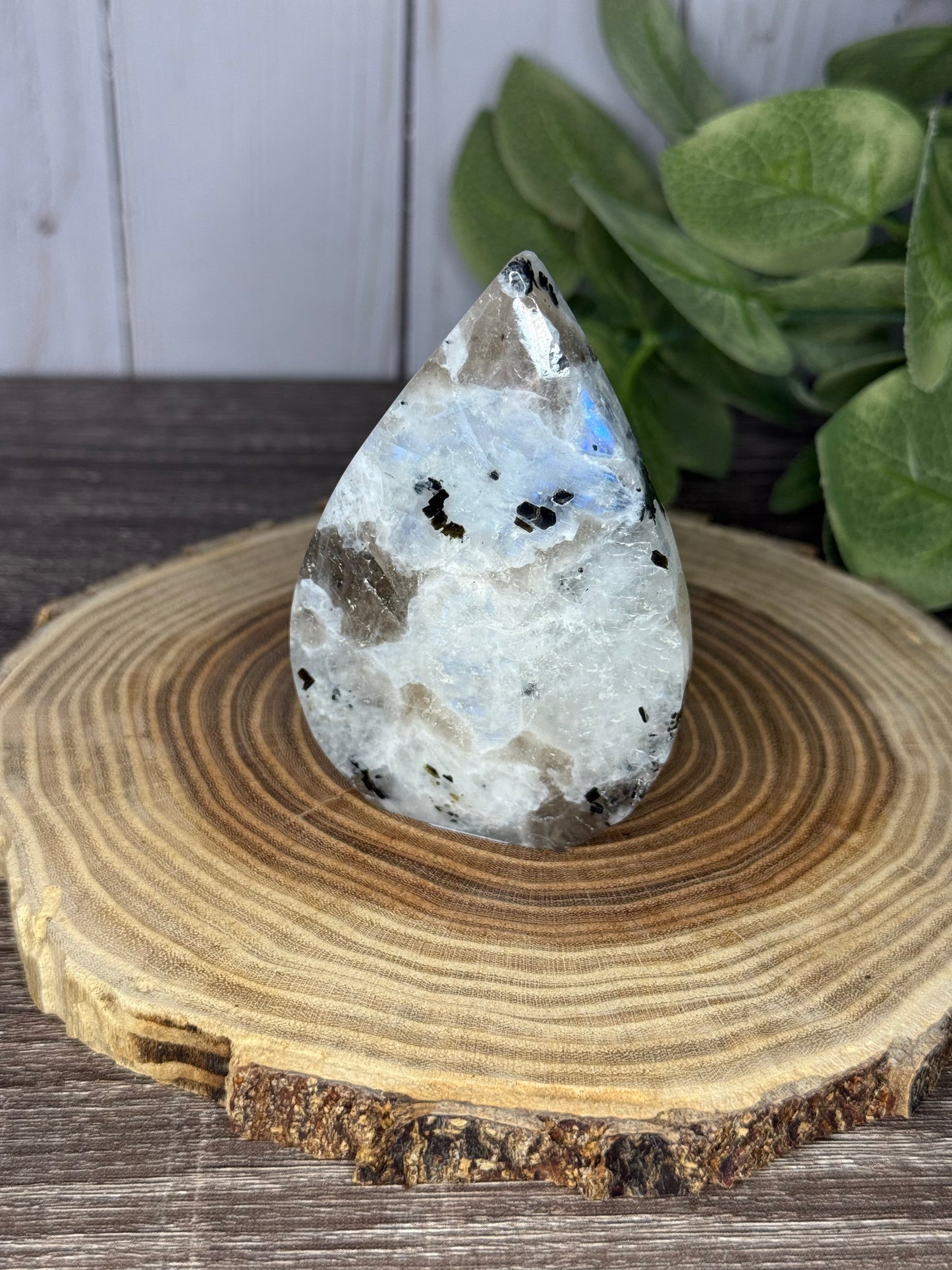 Rainbow Moonstone Freeforms