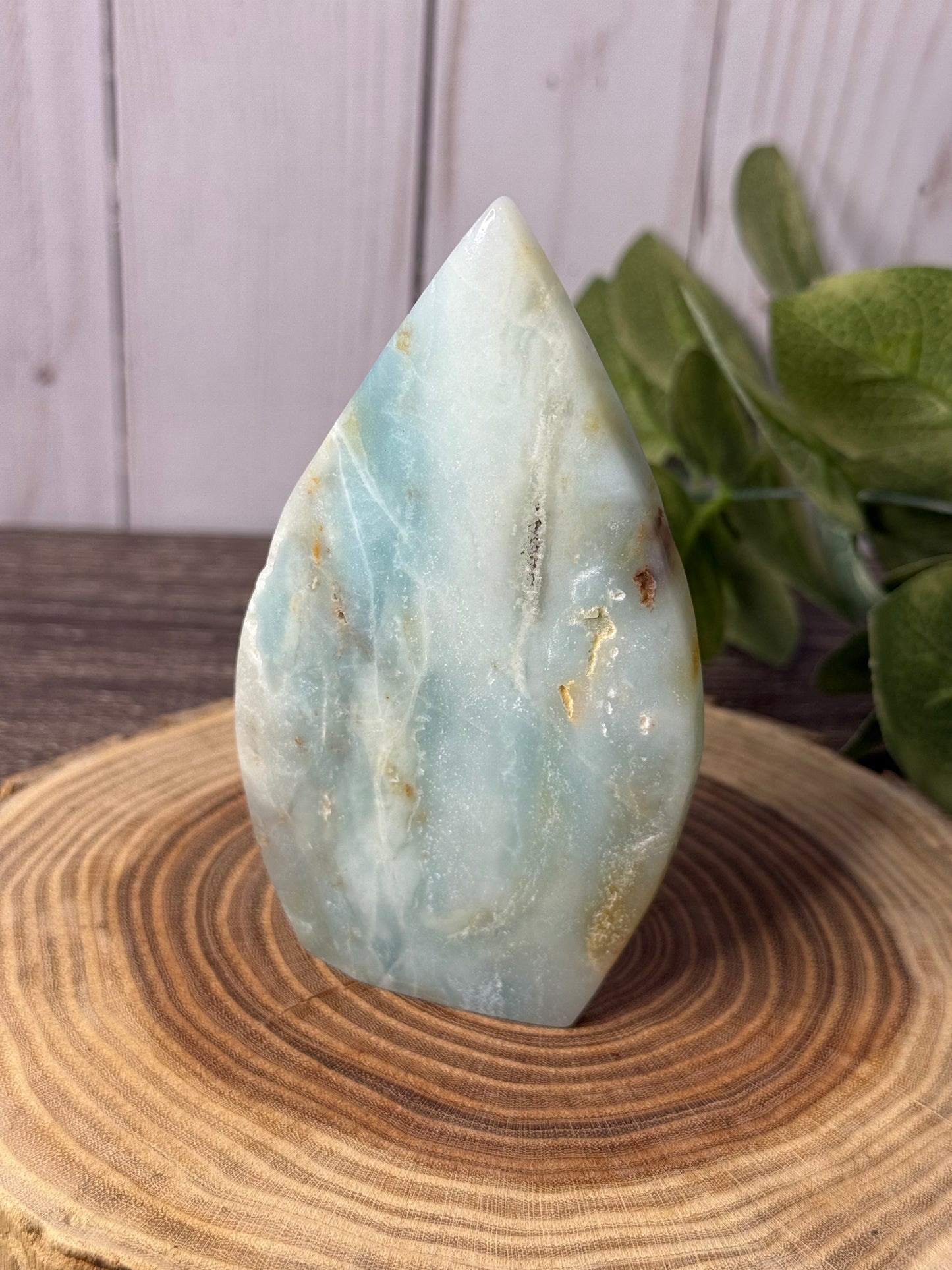 Caribbean Calcite  Freeforms
