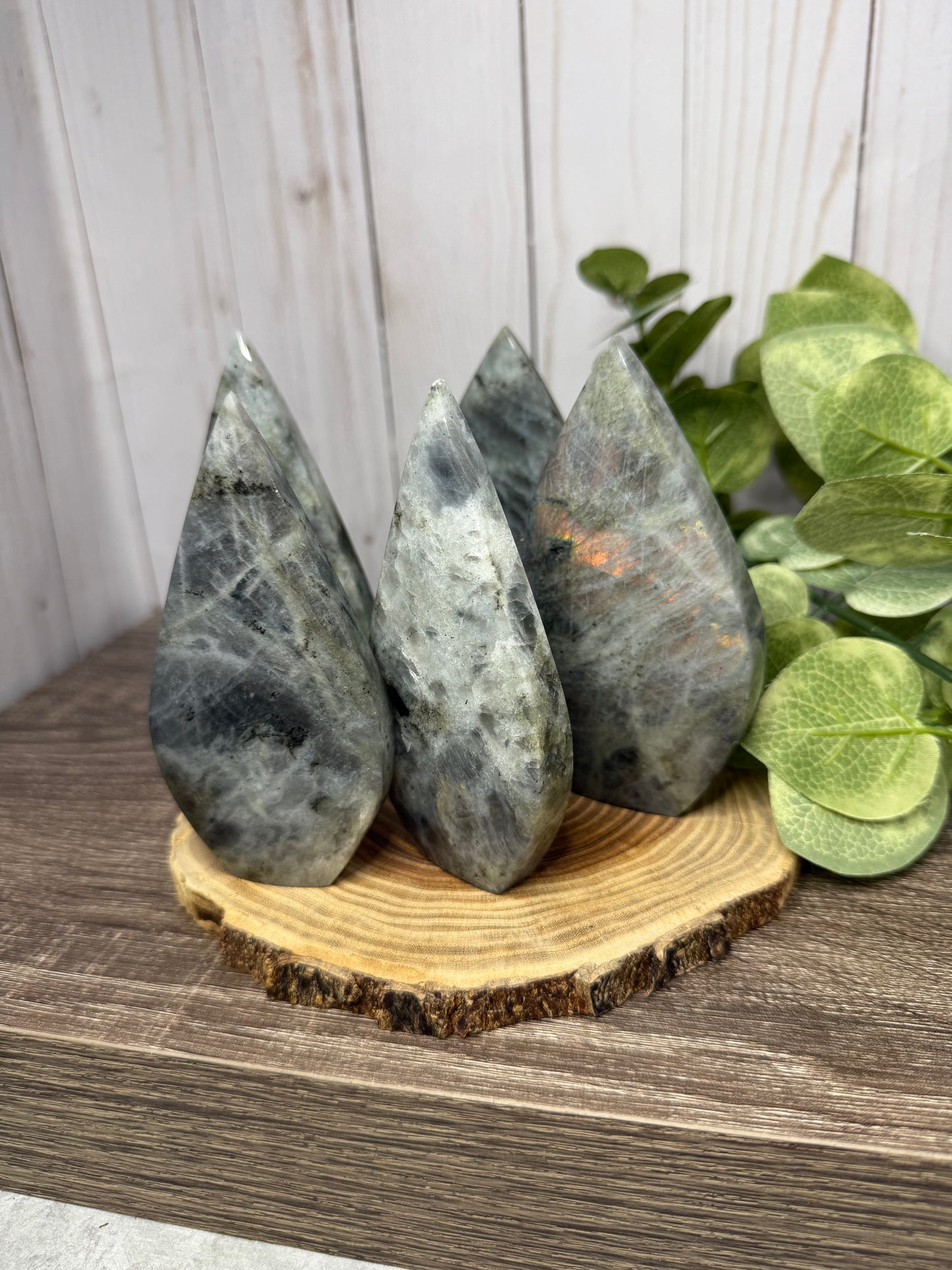 Labradorite Freeforms